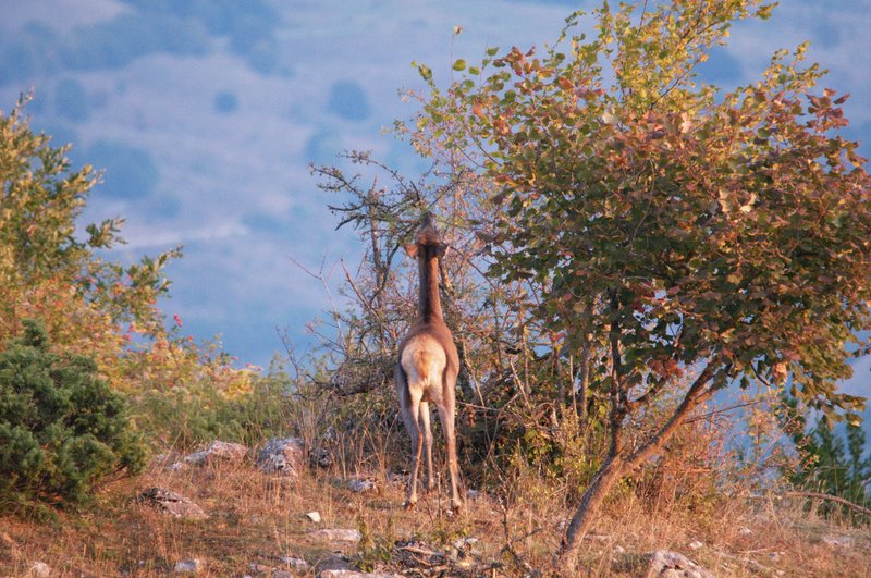 Equinozio d''autunno